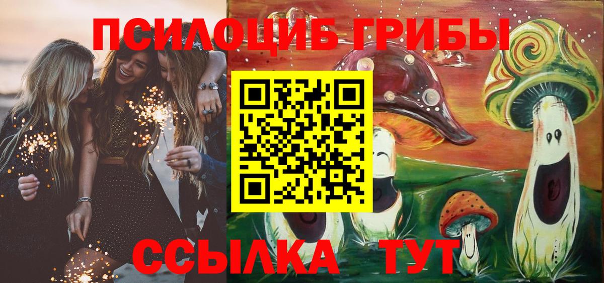 Электросталь  Галлюциногенные грибы MAGIC MUSHROOMS  Вход с VPN 