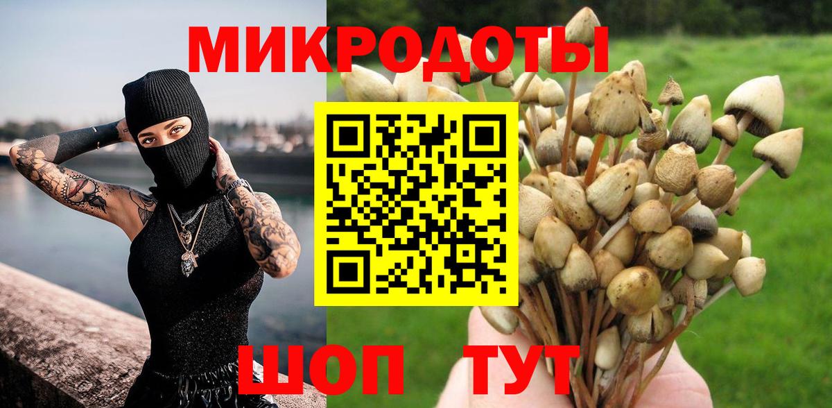 Псилоцибиновые грибы мухоморы Электросталь